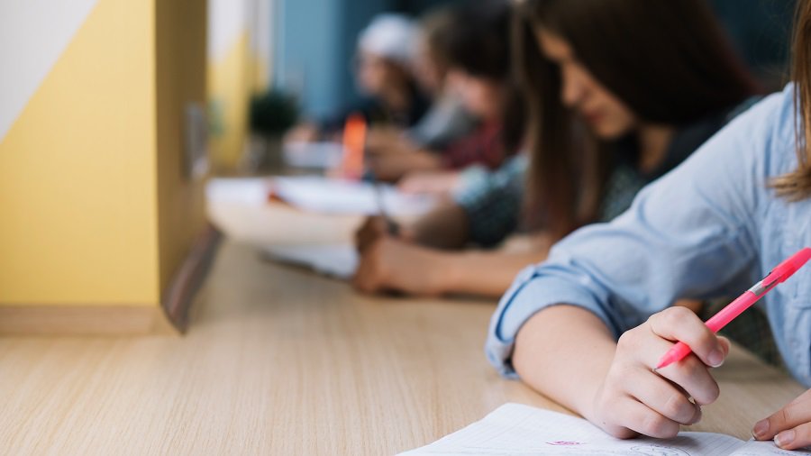 Экзамен по литовскому языку многим придется пересдавать - В Висагинасе