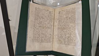 Висагинасу 500! История имени, уходящая в Средневековье (видео)