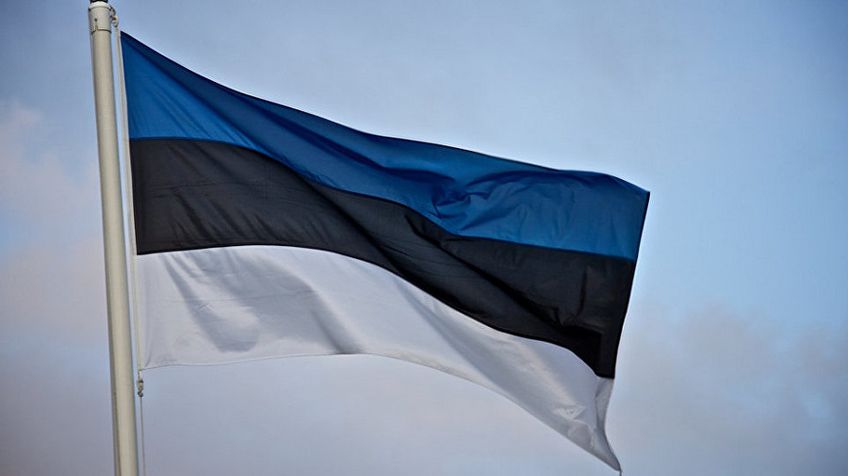 Премьер поздравила Эстонию с Днем Независимости