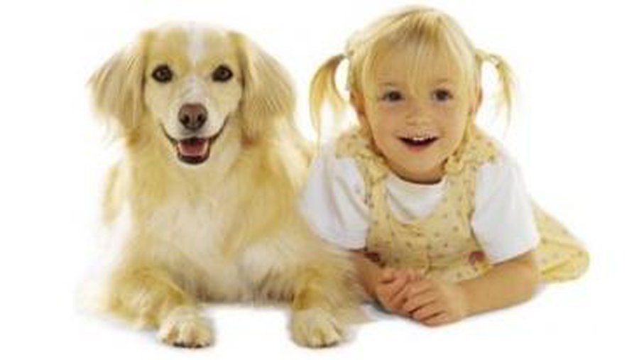 Наши мнения об умственных способностях детей и собак завышены - Наука и здоровье