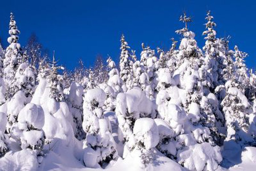 Savaitės pabaigoje – 30 laipsnių šalčio - Lietuva ir Baltijos šalys