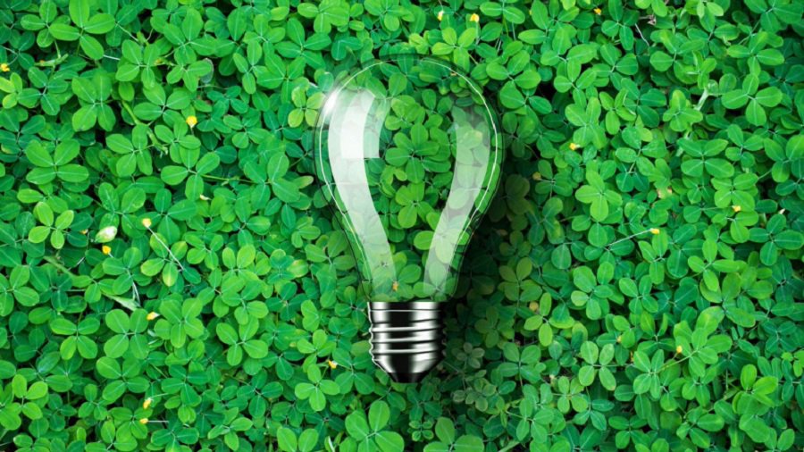 C 2022 года ИАЭС будет покупать зеленую электроэнергию - В Висагинасе