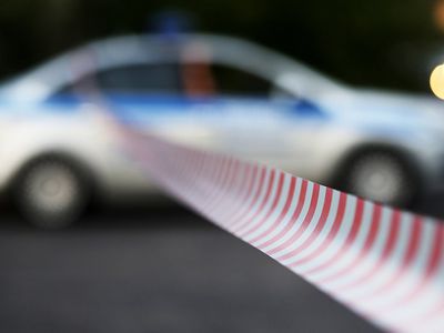 В Москве мужчина напал на пенсионерку, кормившую кошек - Происшествия и криминал