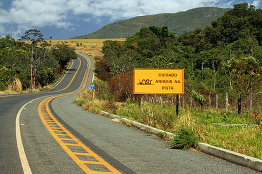 В Европе введут единые правила дорожного движения                                 - Хобби, отдых и развлечения
