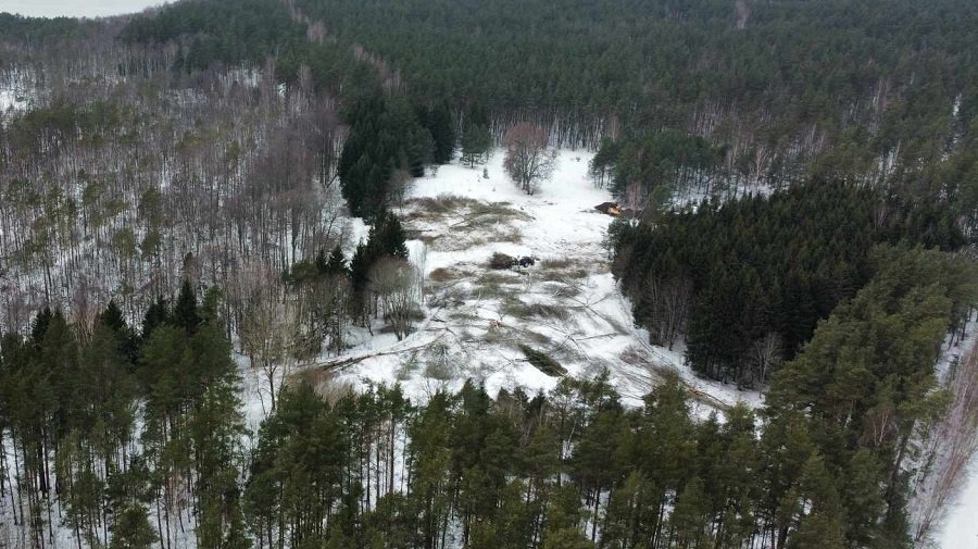 Вырубка деревьев проведена незаконно. Строительство горки - пример лицемерного отношения к людям (видео) - Без цензуры