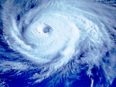 «Фукусиму» готовят к удару тайфуна
                 - В Мире