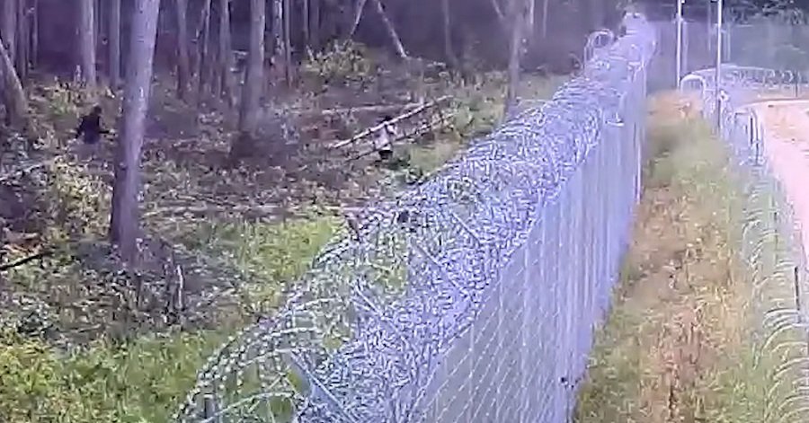 Агрессивные нелегалы забросали пограничников камнями - Литва и страны Балтии