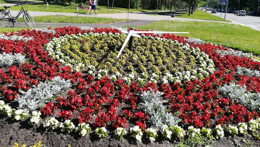 Мастера цветочных композиций (фотогалерея) - В Висагинасе