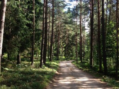 Останется ли Литва лесным государством? - Литва и страны Балтии