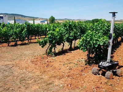 Технология VINBOT помогает европейским виноделам - IT новости