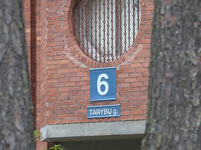 Переименование ул. Тарибу. А был ли «мальчик»? (видео) - В Висагинасе
