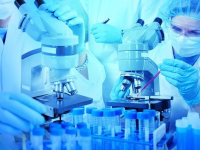 Онкологи: развитие рака легких можно остановить - Наука и здоровье