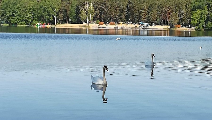 К началу купального сезона на оз. Висагинас проверено качество воды и песка - В Висагинасе