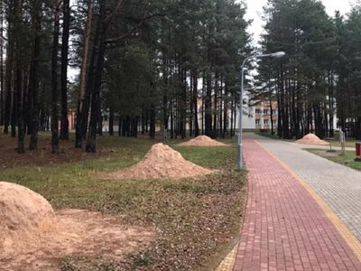 Когда уберут песок, оставшийся от песчаных скульптур? - В Висагинасе