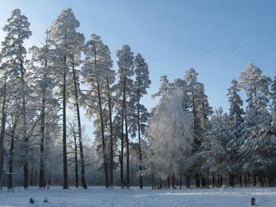 Крещенские морозы пришли в Висагинас - В Висагинасе