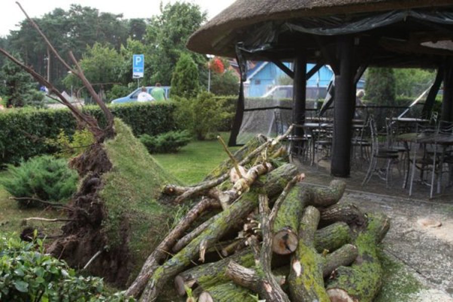 Синоптики: в понедельник вечером в Восточной Литве ожидается шквальный ветер

 - Литва и страны Балтии