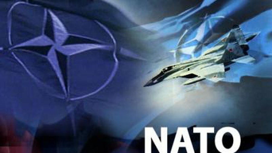 Сейм Литвы согласился на «оккупацию Афганистана» до 2013 года - Литва и страны Балтии