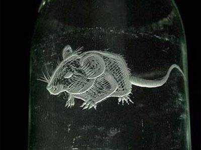 В Великобритании появился таинственный художник-стеклорез - Хобби, отдых и развлечения