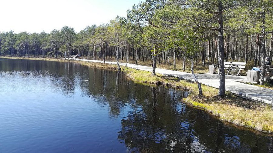 Что будет сделано в Висагинасе в ближайшее время и в перспективе? - В Висагинасе