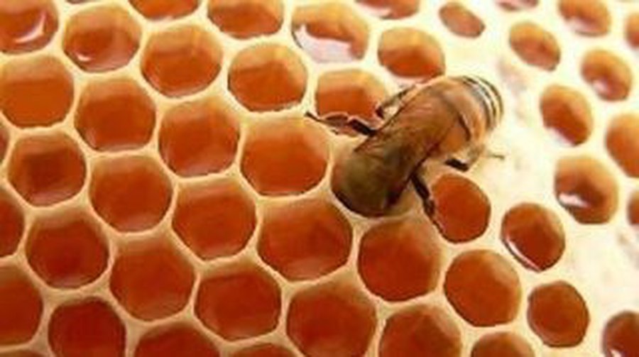 Сыр и мед - лучшие средства от бессонницы

 - Наука и здоровье