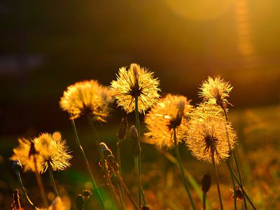 В Литву идет жара - Литва и страны Балтии