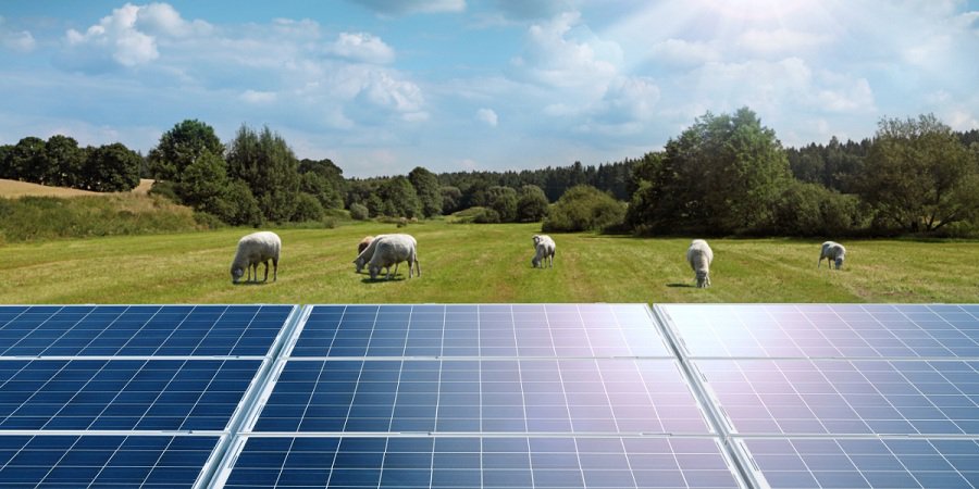 Aura Power продолжает проект строительства парка солнечной электростанции в Дукштасе - Энергетика