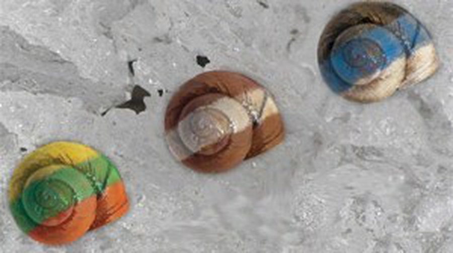 The Economist: Крах Латвии нанесет сильный удар по Литве и Эстонии - Литва и страны Балтии