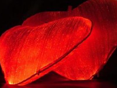 Что привлекает мужчин - Наука и здоровье