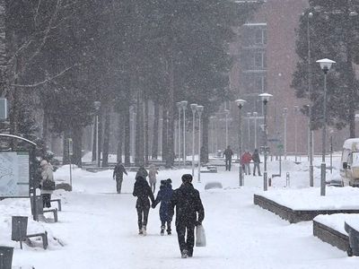 Февральские морозы возвращаются. Погода в Висагинасе. - В Висагинасе
