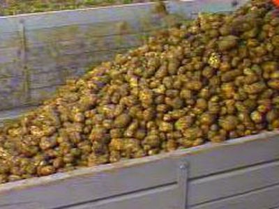 Нагнись, товарищ! - В Мире