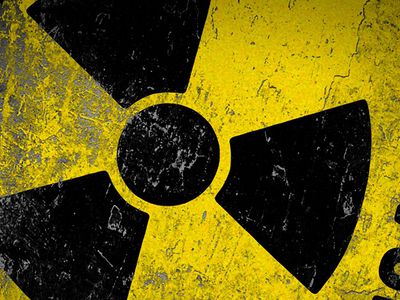 Учёные: уровень радиации в мясе длиннопёрого тунца вырос втрое - Наука и здоровье