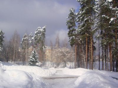 Погода: календарная весна начнется морозом - Литва и страны Балтии