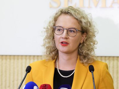 Министр экономики и инноваций скептически оценивает предложенный налог на недвижимость - Литва и страны Балтии