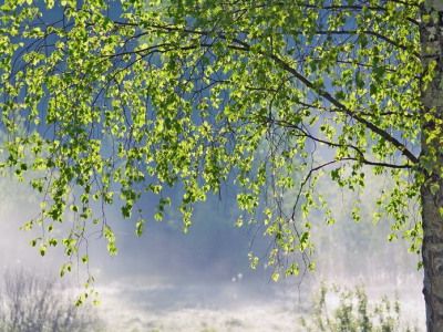 Вниманию участников конкурса «Россия моими глазами» (обновлено)                                                            - Мир молодежи