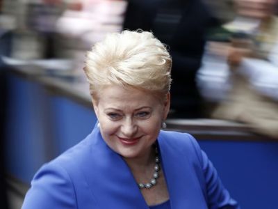 Президент Литвы: я руковожу страной, которая умеет принимать трудные решения - Литва и страны Балтии