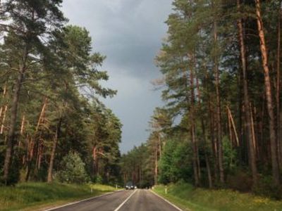 Sinoptikai: vėsa ateis ketvirtadienį - Lietuva ir Baltijos šalys