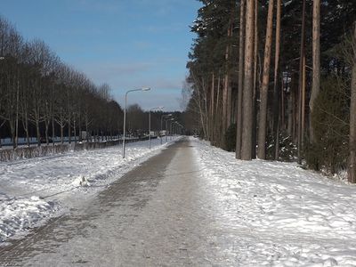 Синоптики: ожидается ненастная погода - сильный ветер и первый снег - Литва и страны Балтии