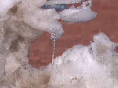 Какие убытки принесла нам зима? - В Висагинасе