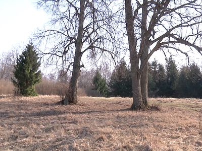 Летняя эстрада «У двух лип» - В Висагинасе