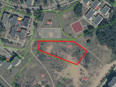 В Висагинасе появится площадка для дрессировки собак - В Висагинасе