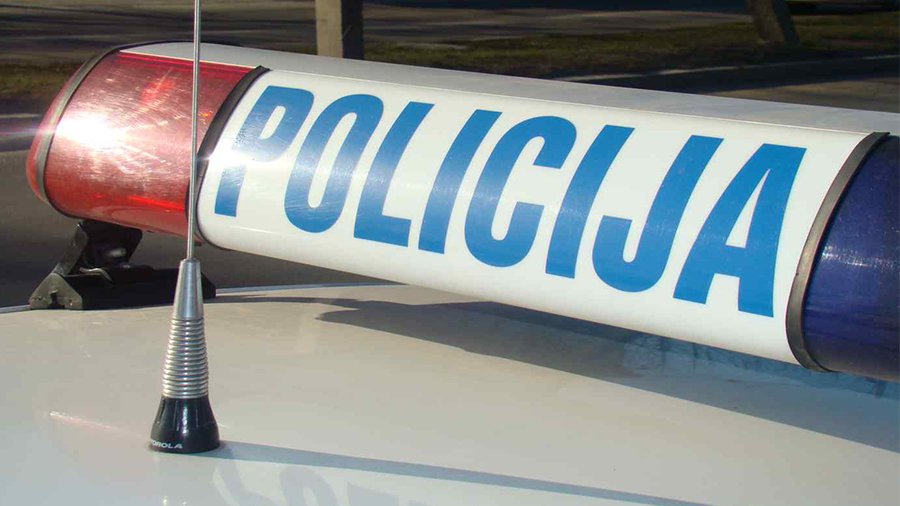 Литовец получил срок за глумление над политиками - Происшествия и криминал