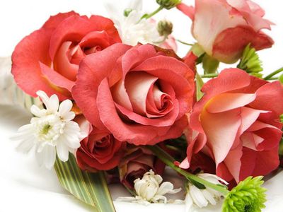 Людмилу Бешанову — с Юбилеем! - Поздравления