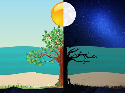 В весну с чистой совестью: что означает весеннее равноденствие и как его встречают в мире - Это интересно