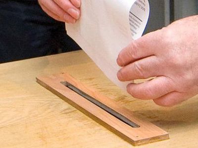 Муниципальные выборы обойдутся Литве в 17 млн. литов - Литва и страны Балтии