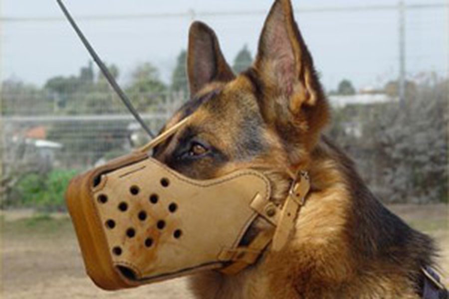 Сводка криминальных происшествий 2008-09-24 - Происшествия и криминал