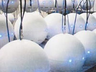 Кунсткамера. Декабрь 2008 №12 - Наука и здоровье