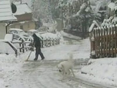 В Польше из-за снежного бурана без света остались 40 тысяч домов - Хобби, отдых и развлечения