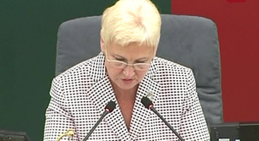 Новой команде Сейма исполнился год  - Литва и страны Балтии