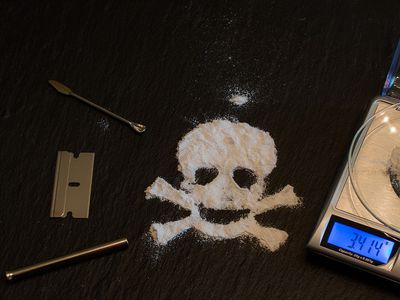 Во время пандемии сильно выросла торговля кокаином - Европол - Происшествия и криминал