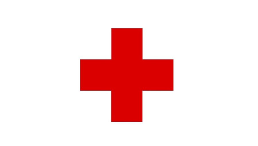 С января в автомобилях должны быть аптечки нового образца, иначе ждет штраф - Литва и страны Балтии